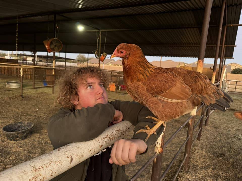J&B Family Farms